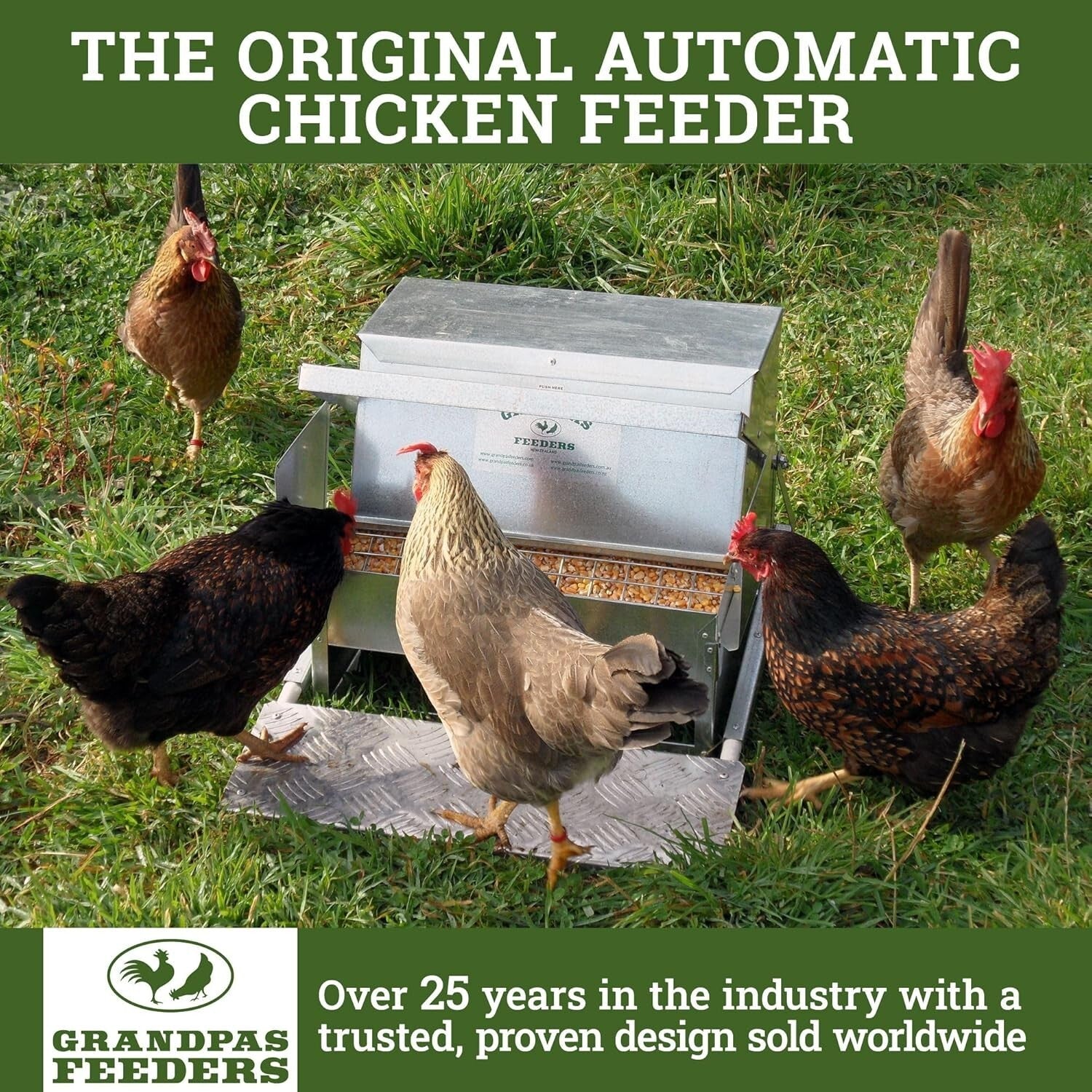 Galvanized Steel Automatic Feeder - Reliable 10-Day Supply for Backyard Chickens