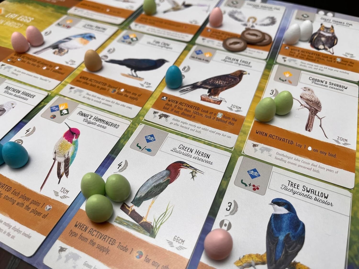 Wingspan Board Game - Beautifully Illustrated Strategy for Bird Lovers (14+)