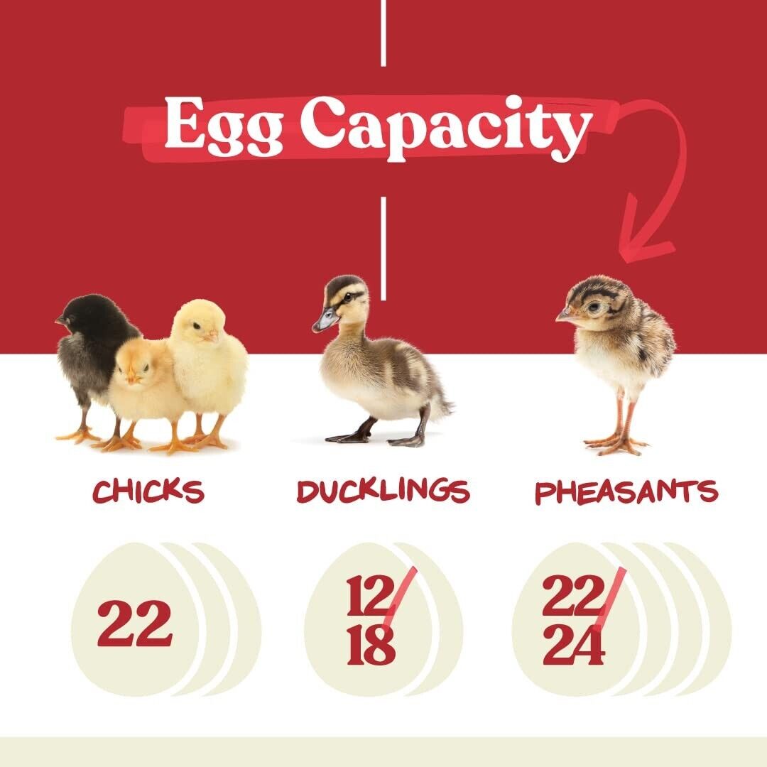 Compact Nurture Right Egg Incubator - 360 Visibility, Perfect for All Poultry