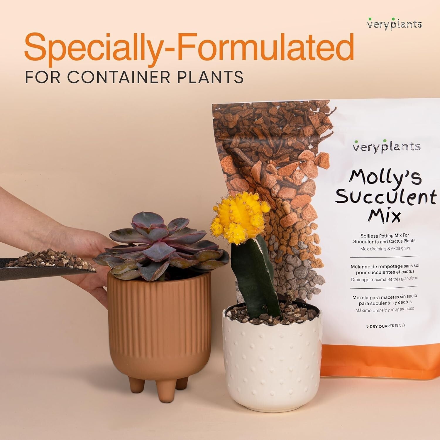 Molly's Premium Succulent Mix - Gritty Soilless Soil for Cacti & Bonsai 5 Quarts