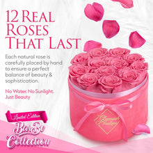 Load image into Gallery viewer, Beautiful Preserved Rose Bouquet in Velvet White Box - Gift of Lasting Love