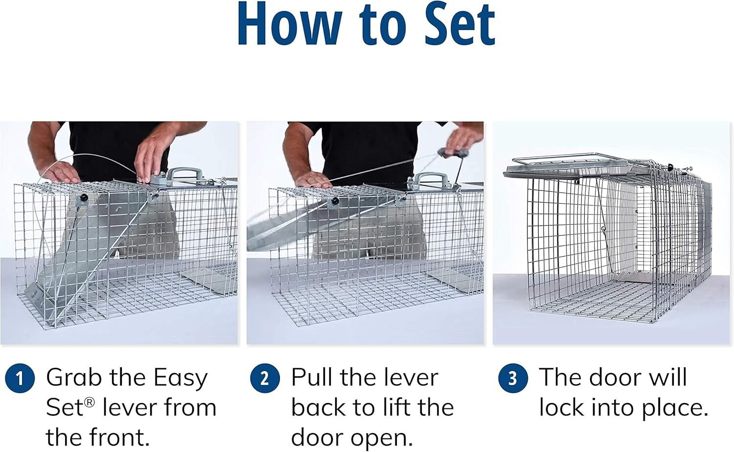 Efficient Large 1-Door Animal Trap for Armadillos, Cats & Raccoons - Easy Set