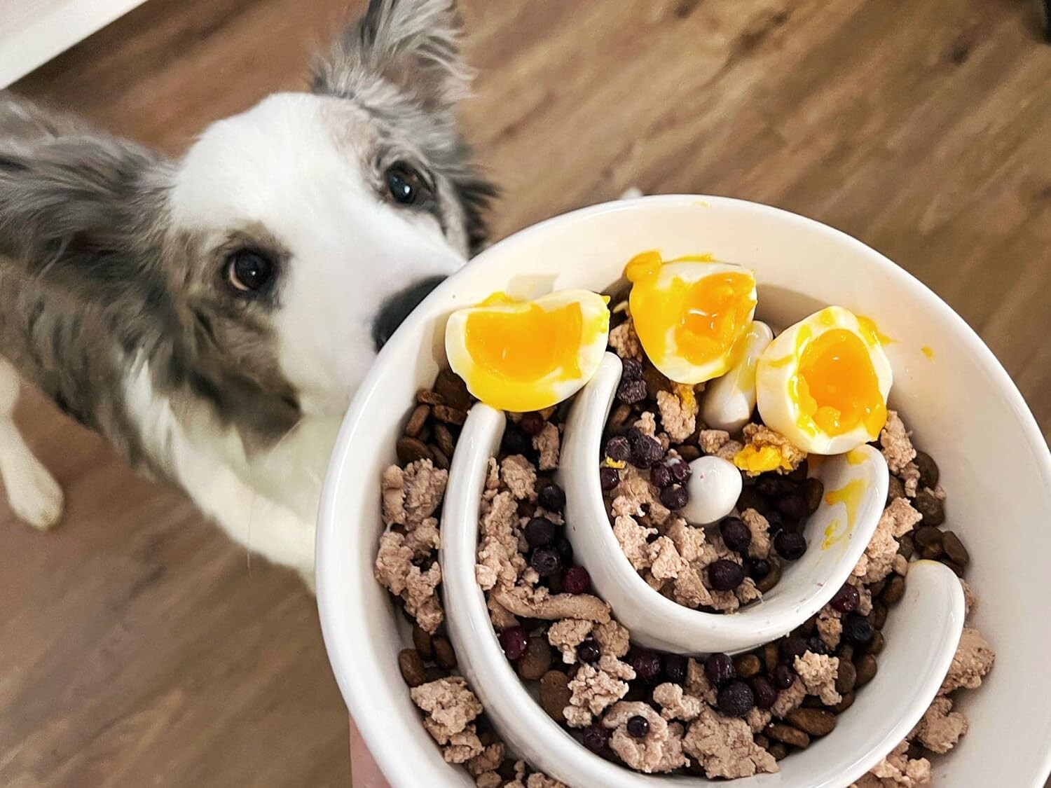 Ceramic Slow Feeder Dog Bowl - 3 Cups Non-Slip Puzzle Design for Healthy Eating