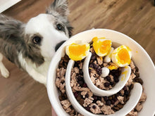 Load image into Gallery viewer, Ceramic Slow Feeder Dog Bowl - 3 Cups Non-Slip Puzzle Design for Healthy Eating