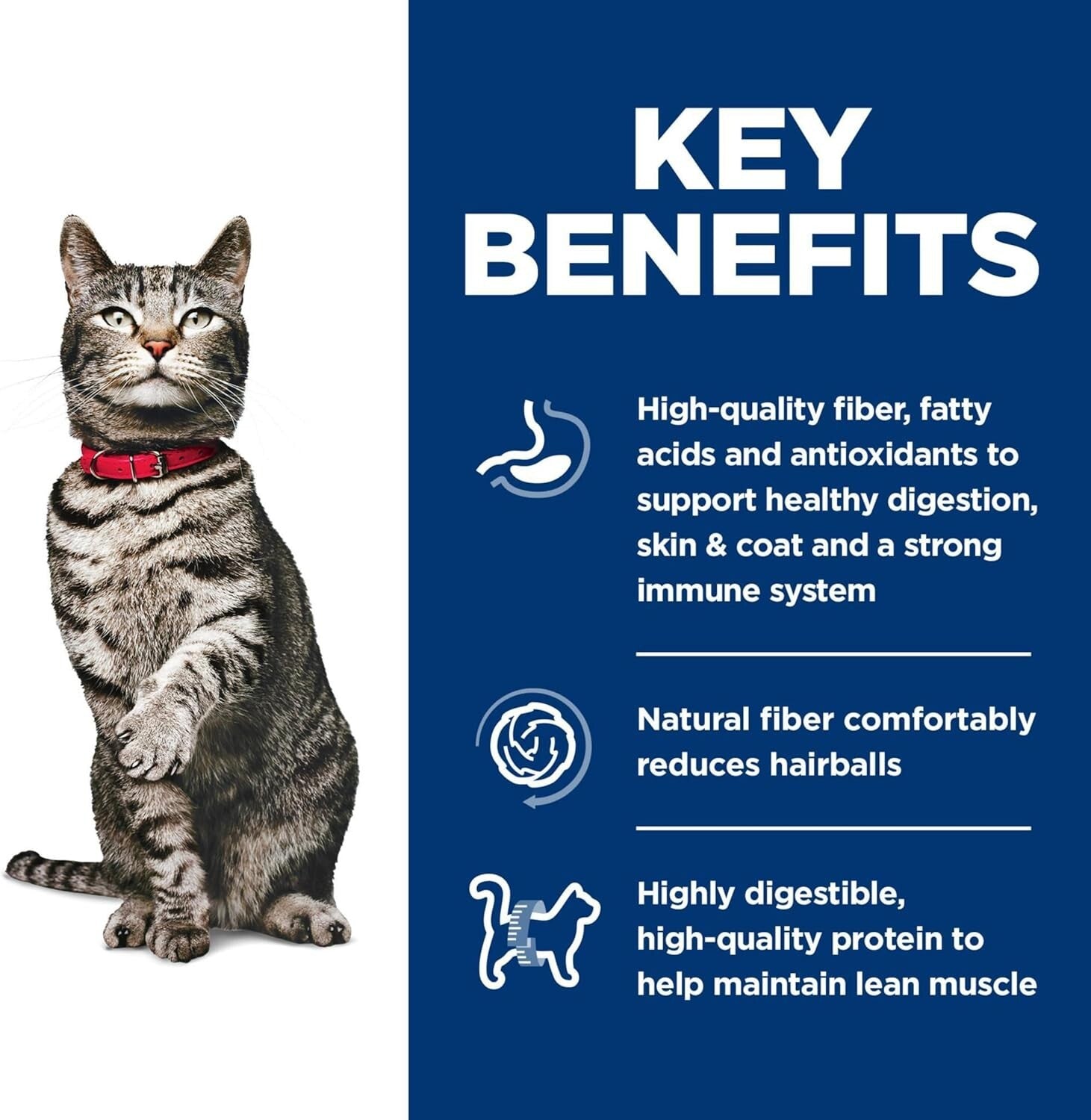 Adult Cat Food for Urinary Track Health & Hairball Control - 7 lb Chicken Blend