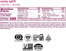 Load image into Gallery viewer, Cherries &amp; Berries Organic Vegan Protein Bars - 12 Count Health Treat