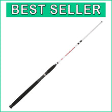 Load image into Gallery viewer, Big Game 6'6" Casting Fishing Rod - Durable, Moderate Fast Action Performance