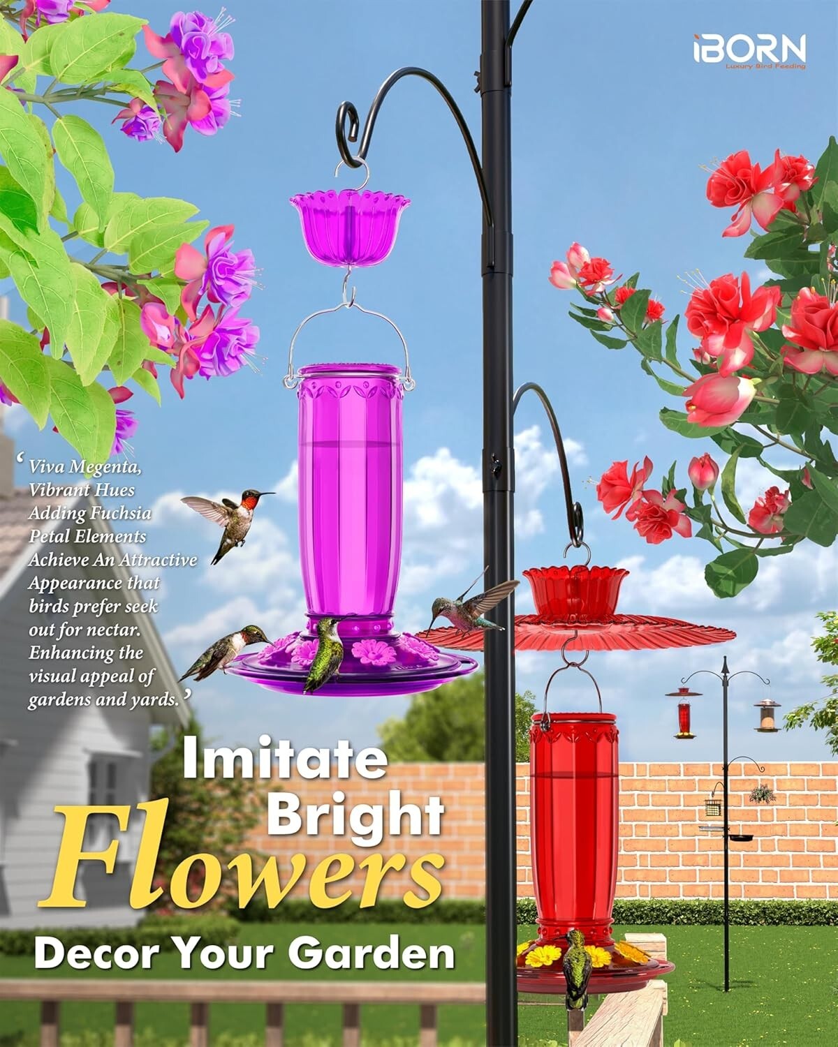Attractive Hummingbird Feeder with Ant Moat - Durable Glass, Gift Box Included