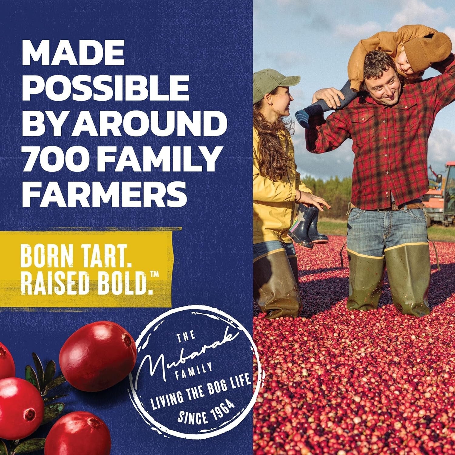 Delicious Bold Cranberry Lemonade Juice - 64 Fl Oz x 8 for Ultimate Refreshment