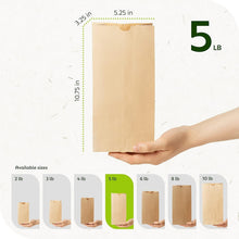 Load image into Gallery viewer, Eco-Friendly 5lb Kraft Paper Bags: Perfect for Lunch, Bakery Treats &amp; Parties