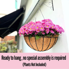 Load image into Gallery viewer, Rust-Resistant 20" Black Metal Wire Hanging Planter with Coco Liners - Set of 2
