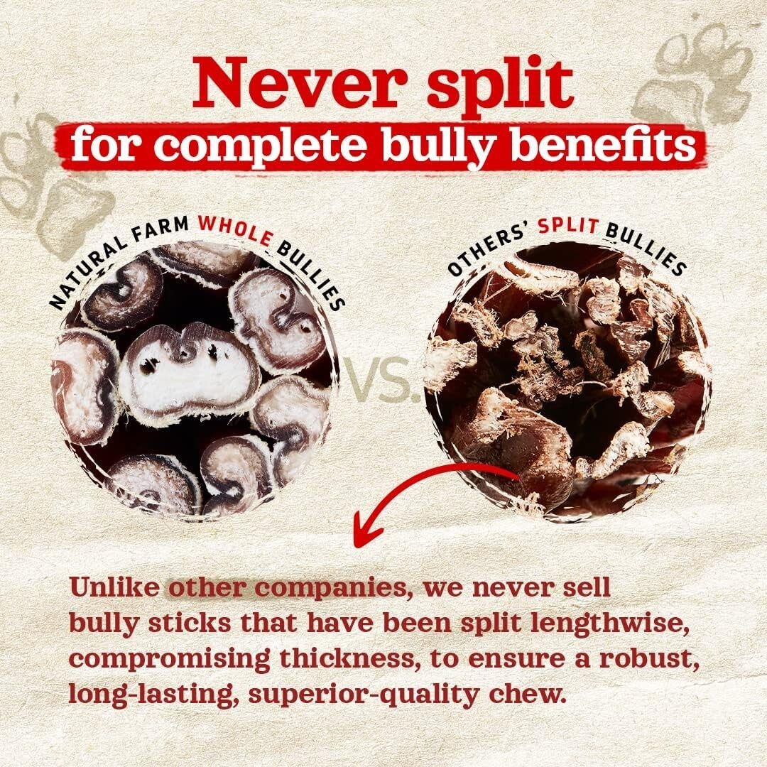 Dental Care 6 Inch Bully Sticks - 5 Count, Fully Digestible Beef Chews