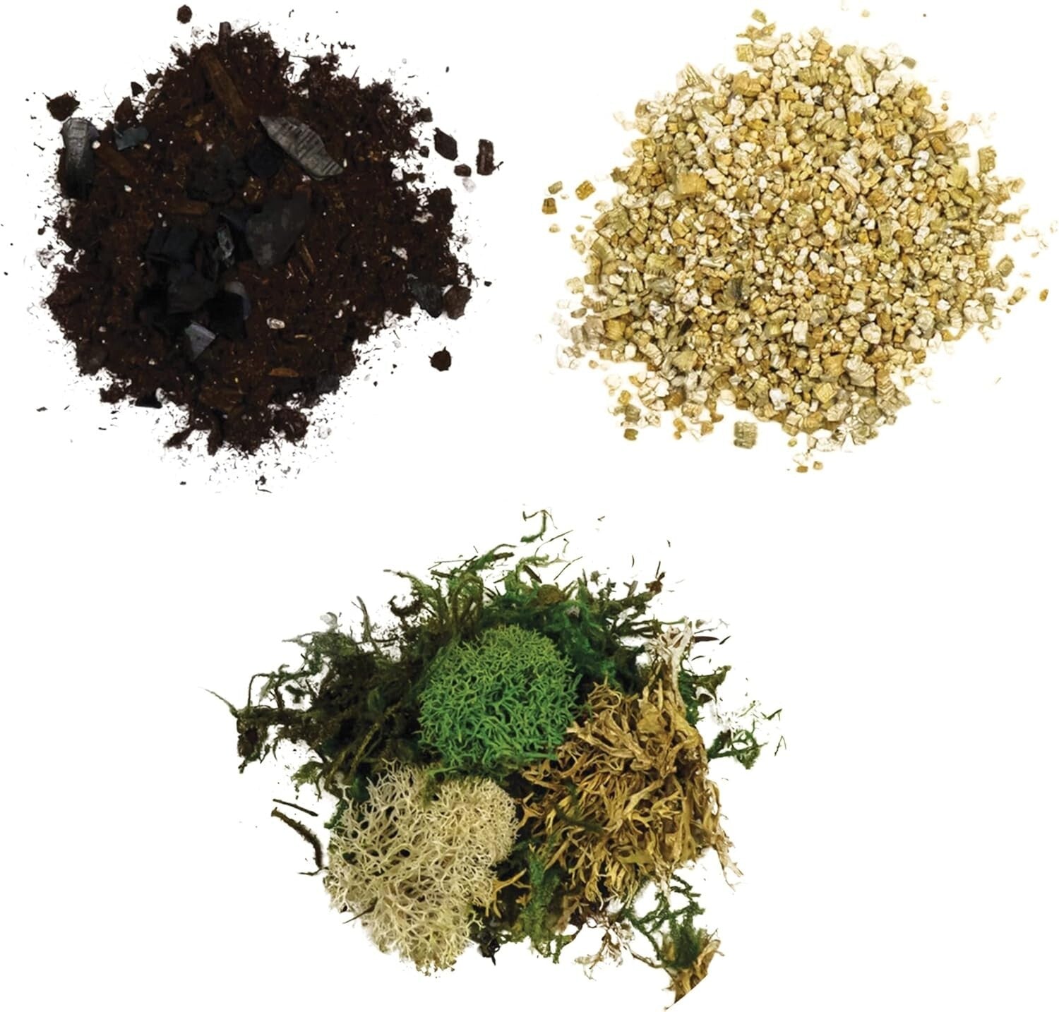 Create Your Own Terrarium with Glass Globe, Moss & Mini Dinosaurs - USA Made