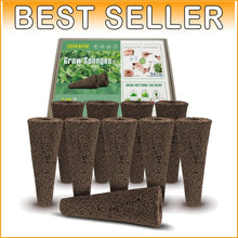 Load image into Gallery viewer, Replacement Hydroponic Seed Pods - 250 Pack Compatible with AeroGarden Systems