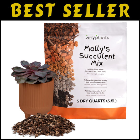 Molly's Premium Succulent Mix - Gritty Soilless Soil for Cacti & Bonsai 5 Quarts