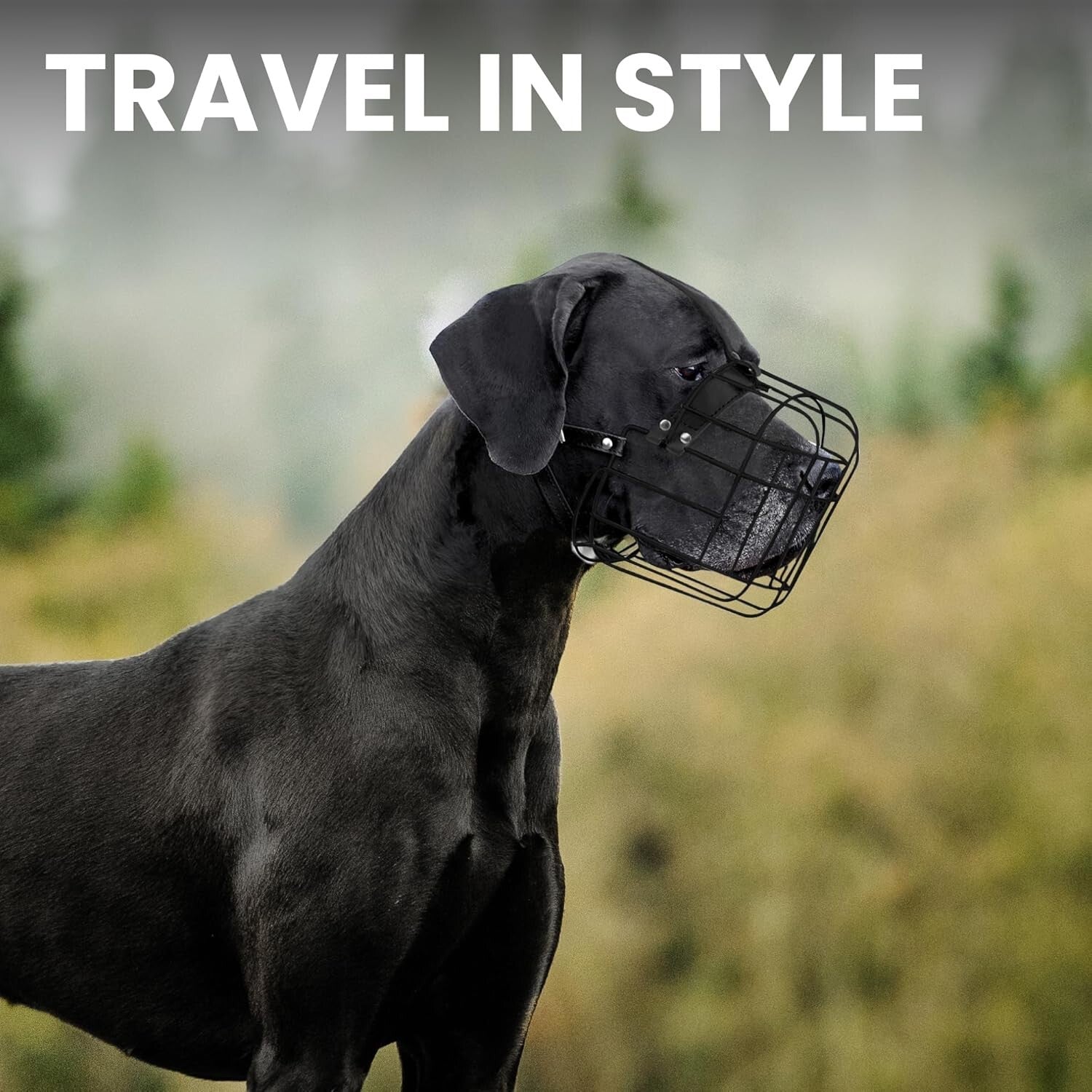 Breathable Large Dog Muzzle with Leather Straps - Prevents Biting & Scavenging