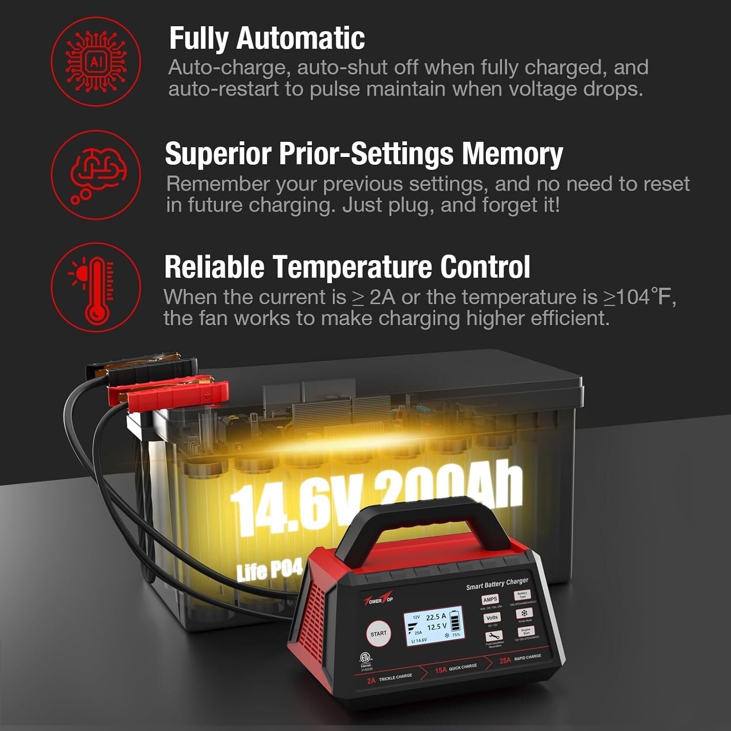 Smart 12V Car Battery Charger: 25A Fast Charging & Maintenance for All Batteries