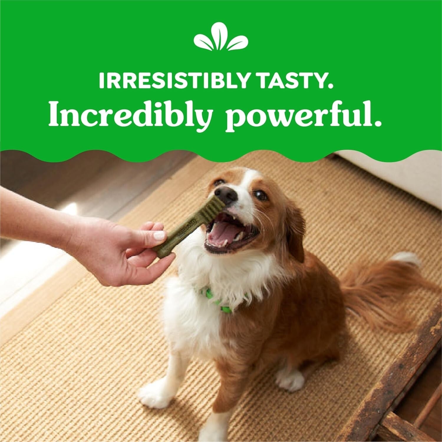 60 Piece Petite Dog Dental Treats - Minty Fresh & Blueberry Flavor for Care