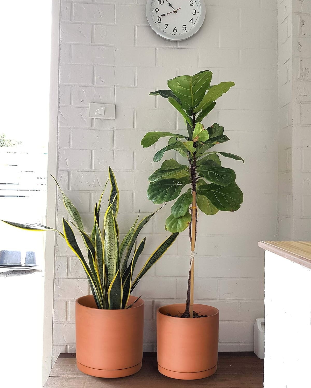 Elegant Set of 3 Terracotta Pots with Drainage and Saucers for Indoor Plants