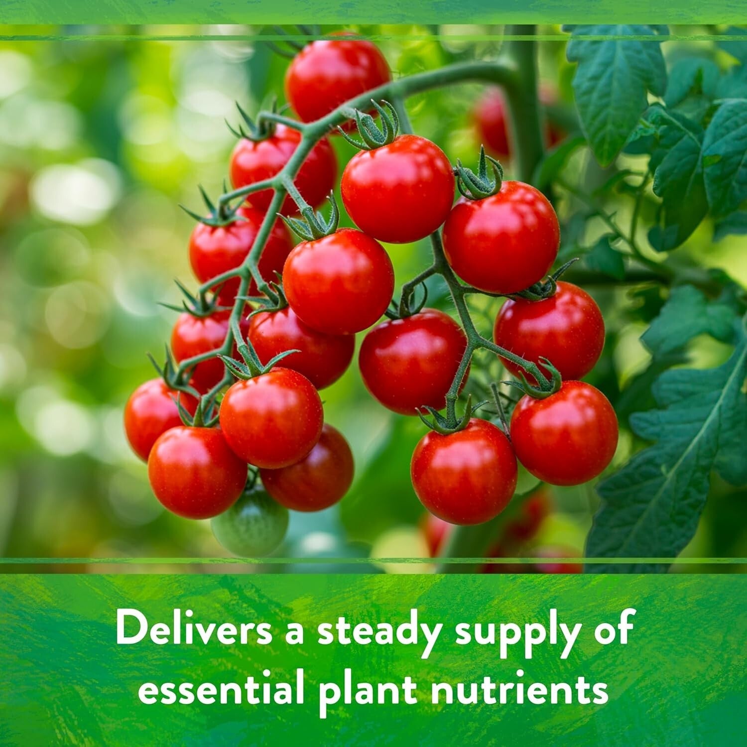 Organic All Purpose Fertilizer 4-6-2 Mix for Tomato & Vegetable Plants - 15 lb