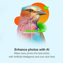 Load image into Gallery viewer, PaintShop Pro 2023: Enhance Photos &amp; Design Graphics with AI Tools [PC Key Card]