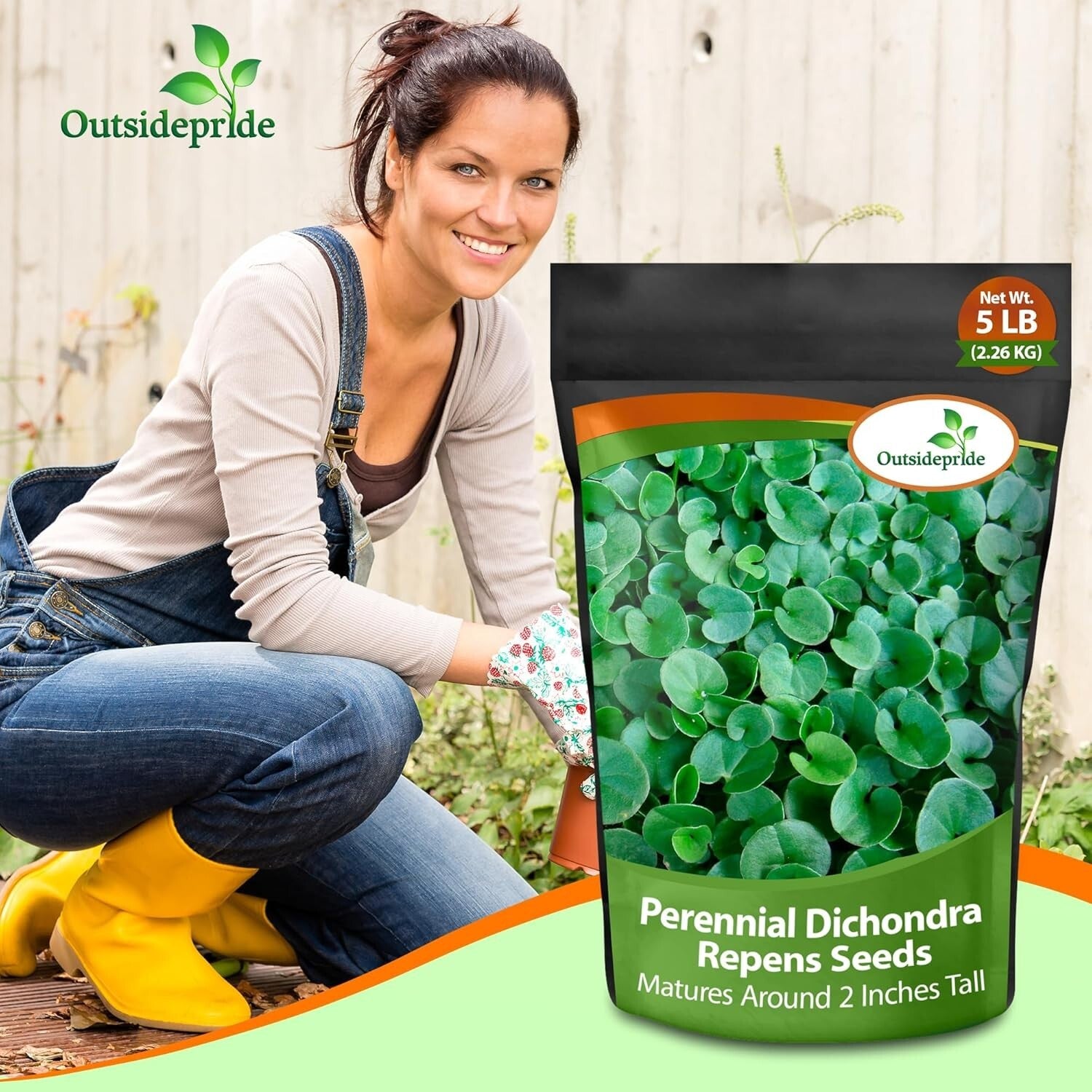Dense Green Dichondra Repens Seeds - Easy Erosion Control & Year-Round Color