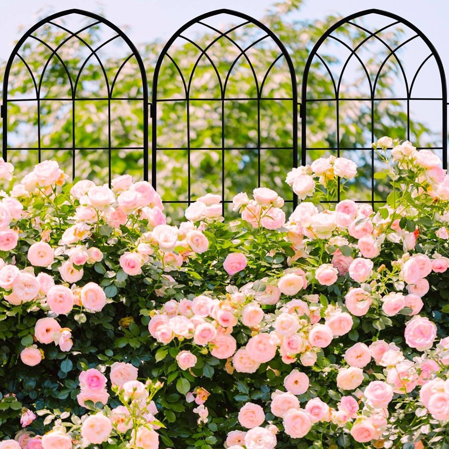 Elegant Rust-Proof Iron Arch - 71x20in Trellis for Outdoor Climbing Plants