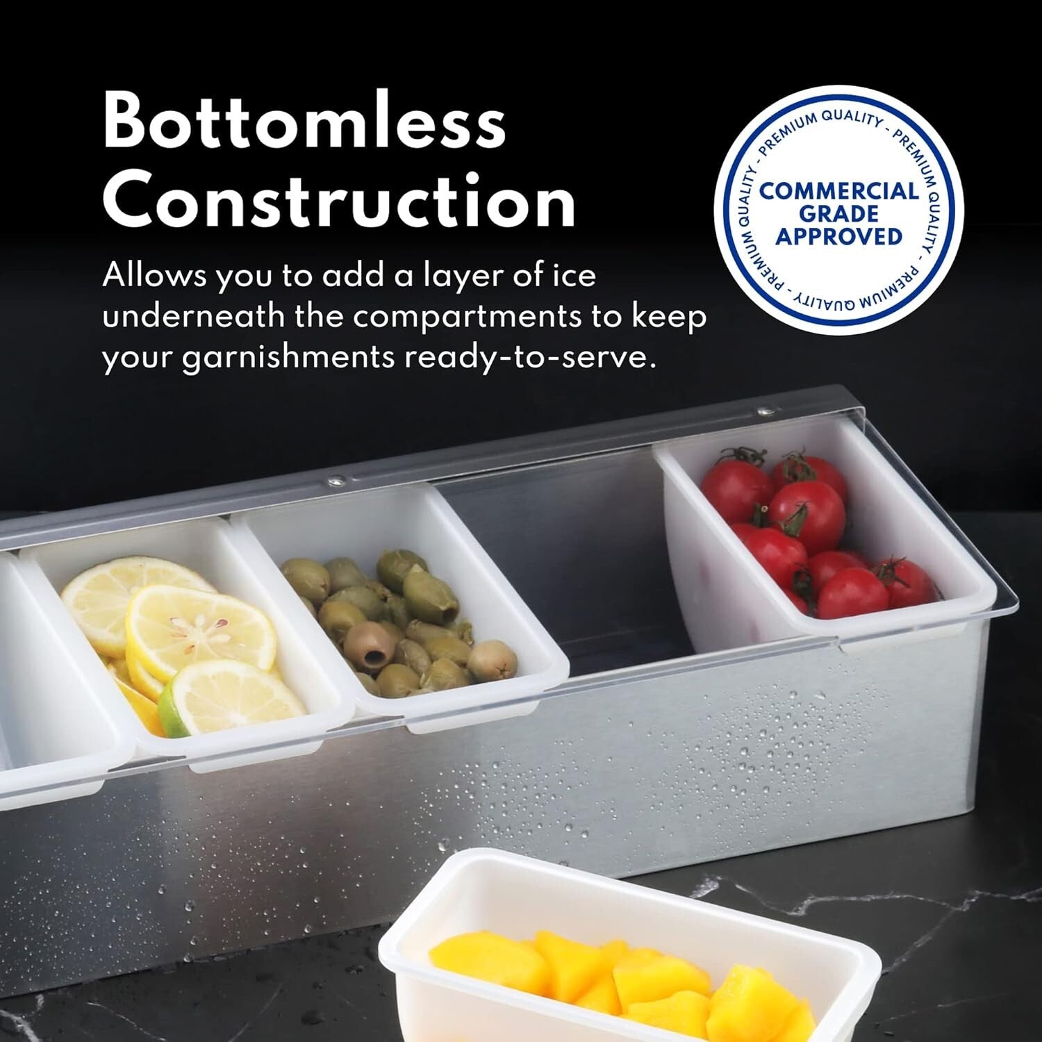 Multi-Compartment Stainless Steel Condiment Organizer with Hinged Acrylic Lid