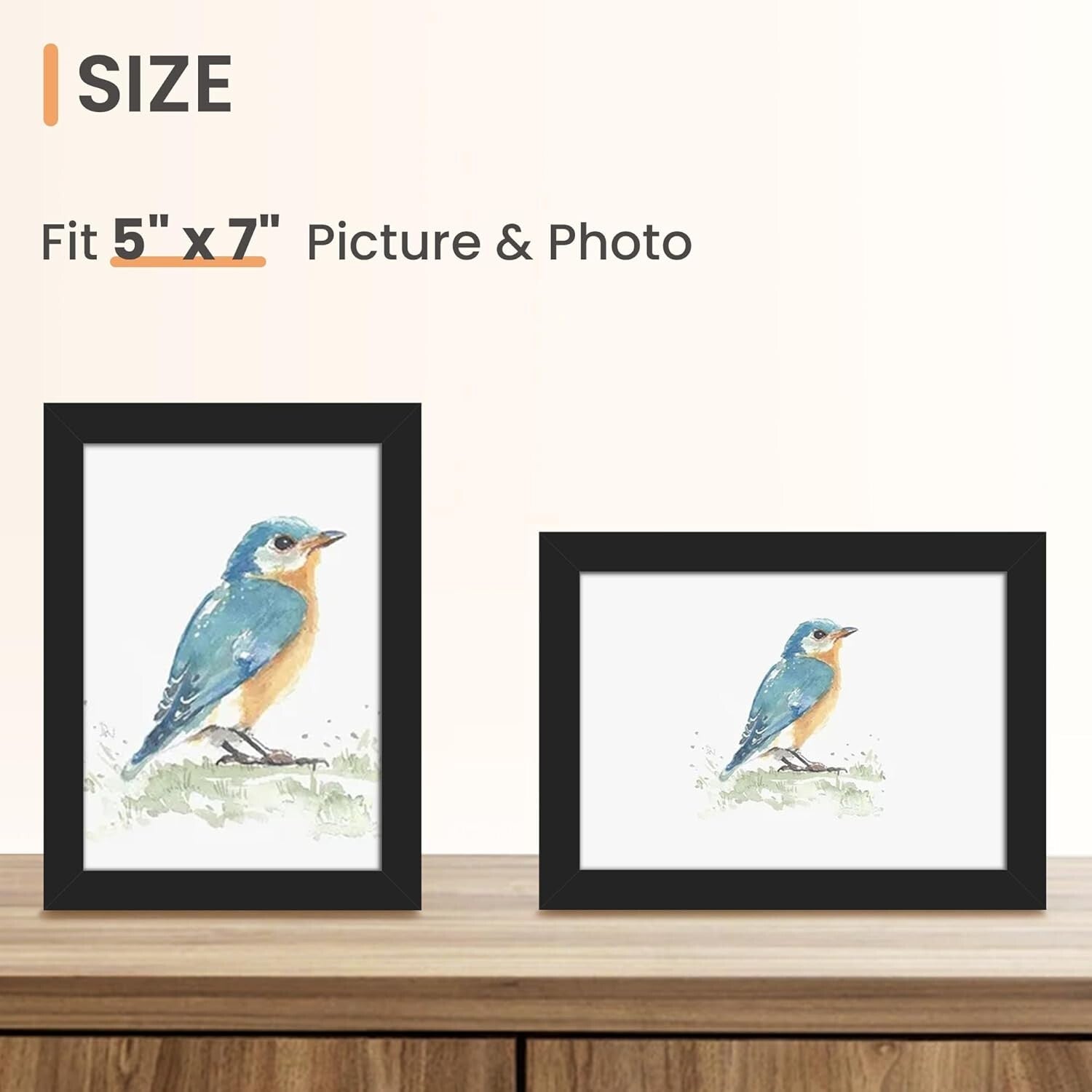 Classic Set of 17 5x7 Picture Frames – Safe & Elegant Display for All Occasions