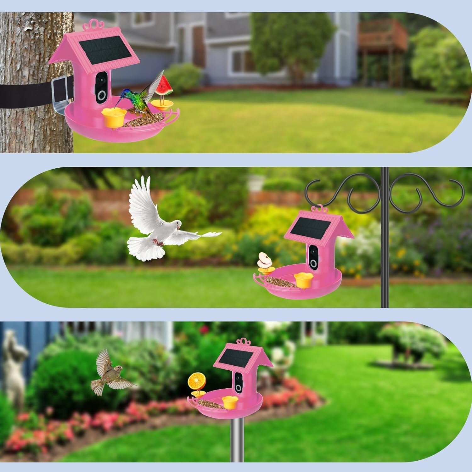 Smart Solar-Powered Bird Feeder with AI Recognition & Built-In Camera – Pink