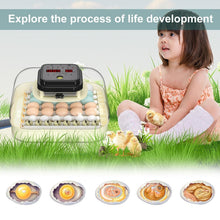Load image into Gallery viewer, Efficient 35 Egg Incubator: Automatic Turning, Humidity Control &amp; Visual Design