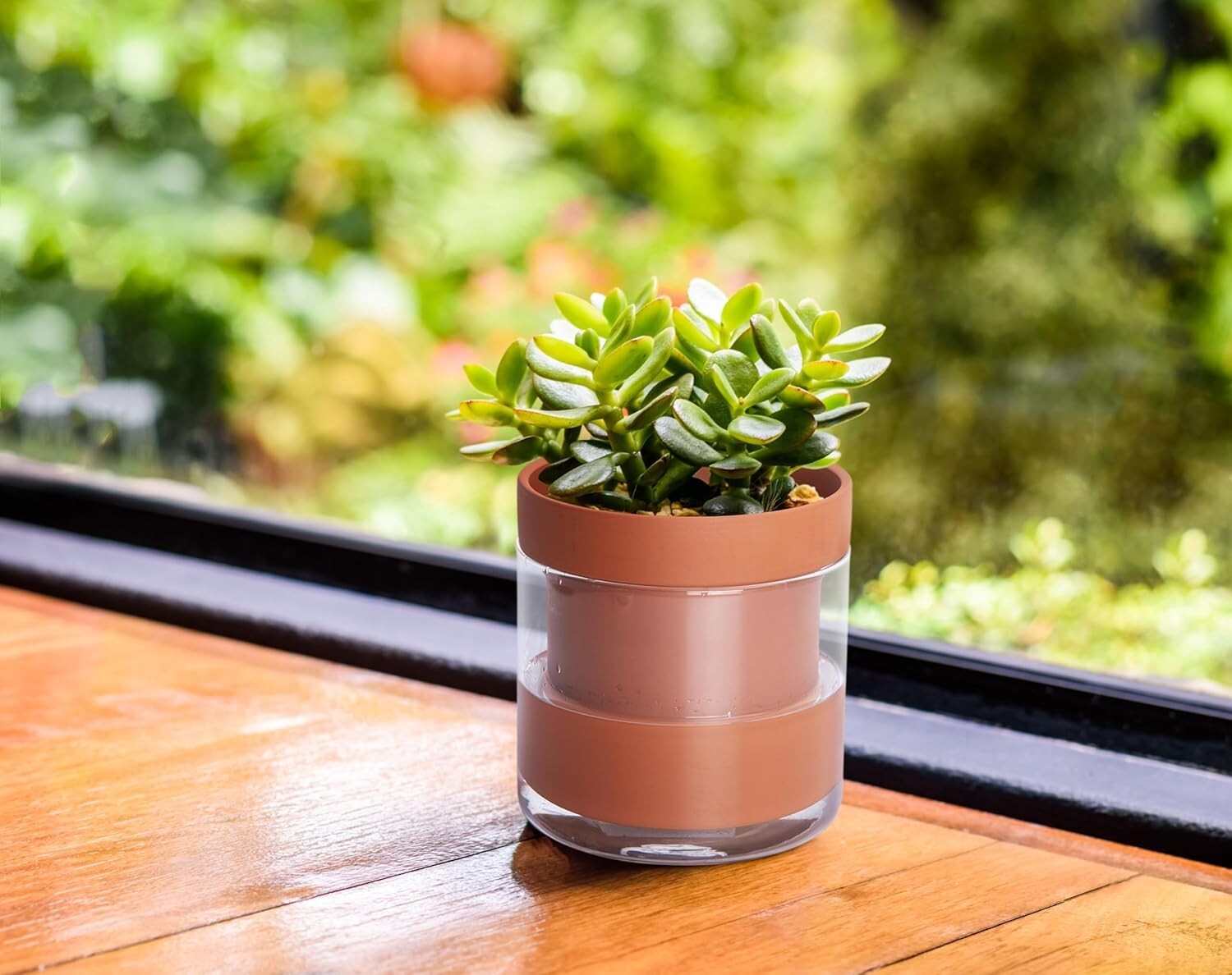 4-Inch Terracotta Clay Pot with Glass Reservoir for Hassle-Free Indoor Planting