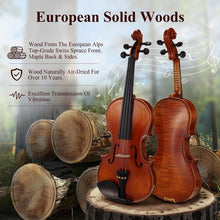 Load image into Gallery viewer, Premium 4/4 Violin Set with Ironwood Bow, Extra Strings &amp; Quality Accessories