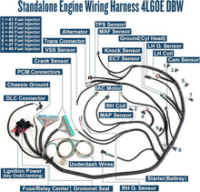 Load image into Gallery viewer, High-Quality LS Swap Engine Harness - Made for 4.8L, 5.3L, 6.0L Vortec Models