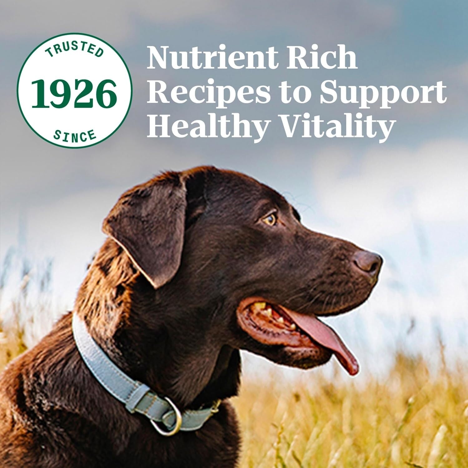 Nutro Natural Choice Healthy Weight Dry Dog Food - Lamb & Rice, 30 lbs. Bag