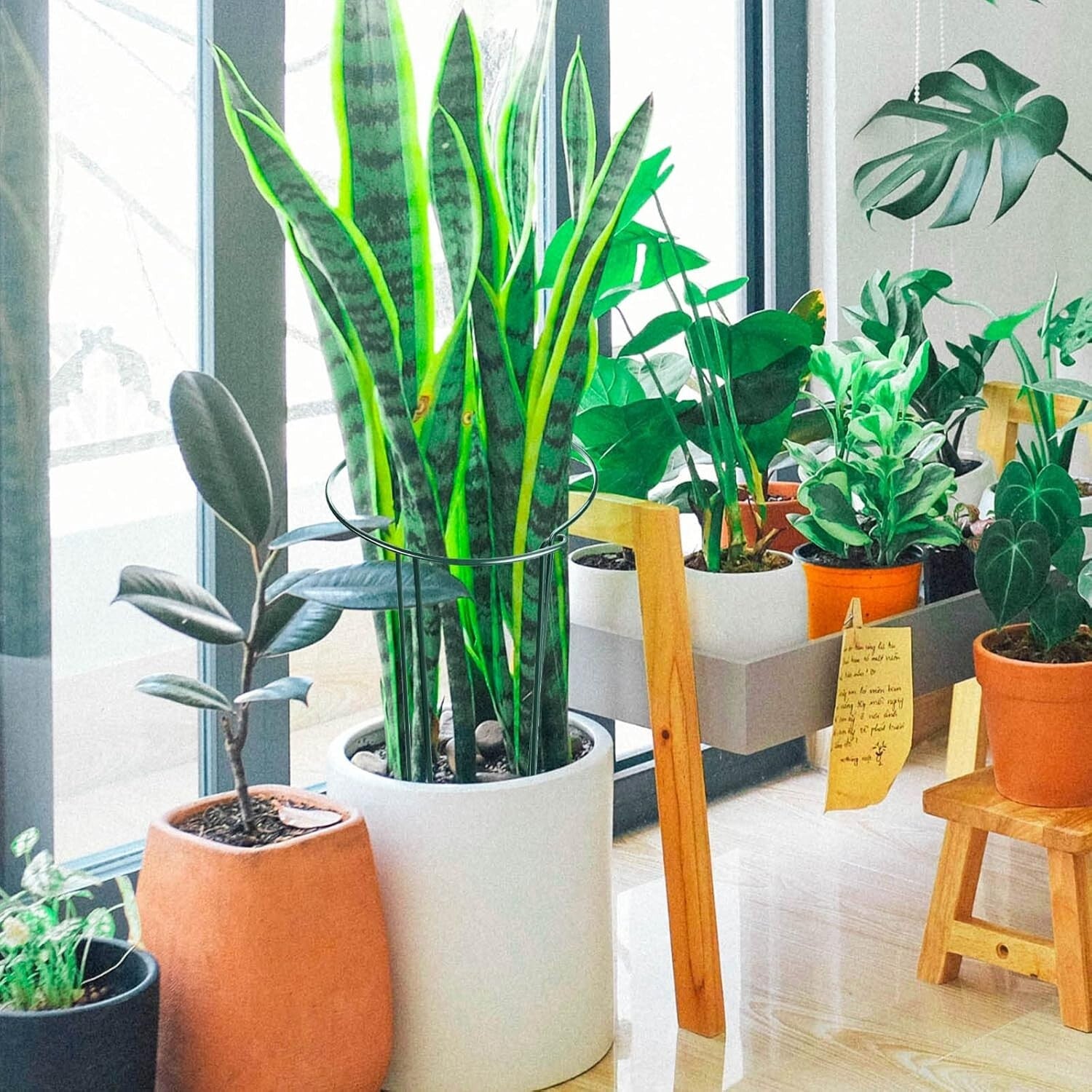 Dark Green 12 Pack Plant Stakes - Perfect Support for Roses, Peonies & Vines