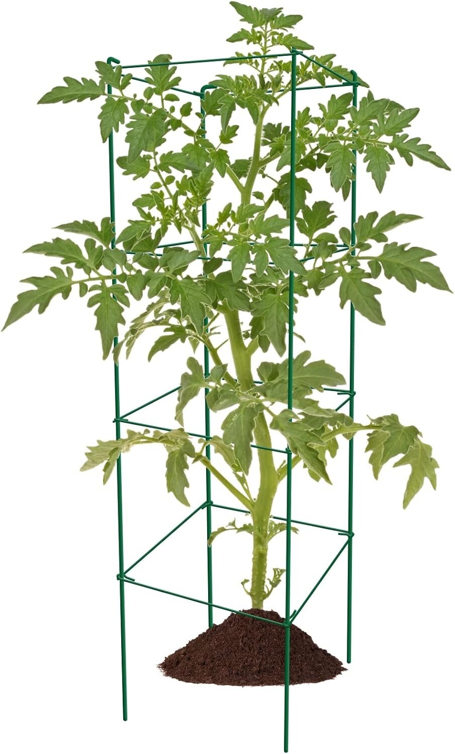 6-Pack 46-Inch Heavy-Duty Tomato Cages with Twist Ties for Climbing Plants