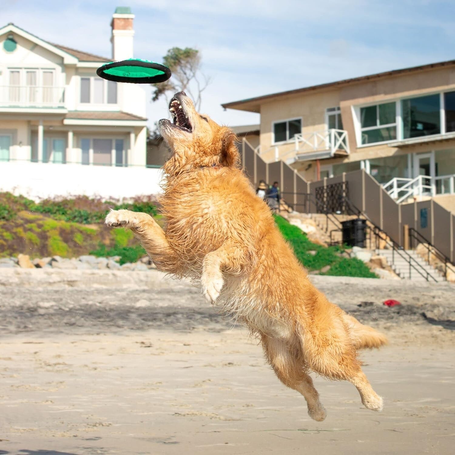 9-Inch Flippy Flopper Dog Flyers - Pack of 5, Safe & Durable for All Breeds