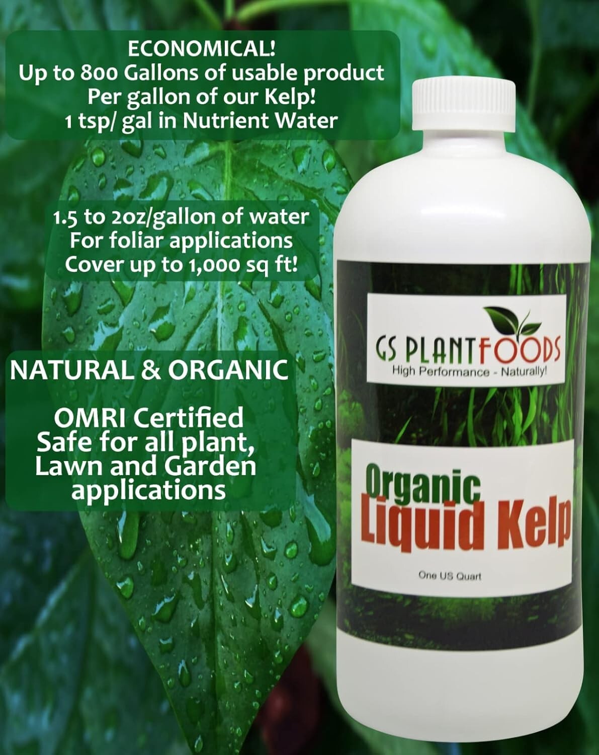 Natural Seaweed Fertilizer - 1 Gallon Kelp Concentrate for Optimal Plant Growth