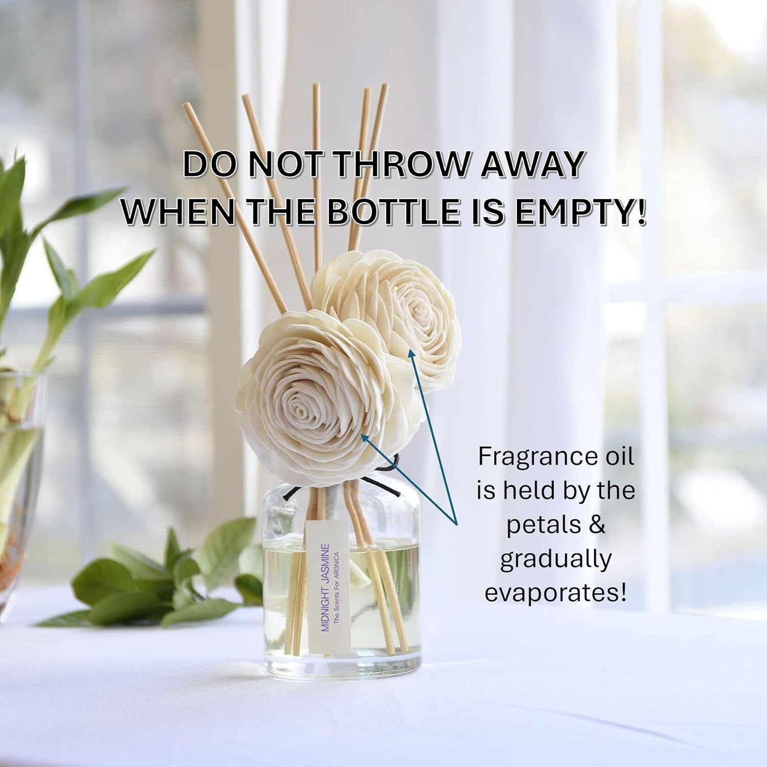 Fresh Cut Lilac Glass Diffuser with Sola Flowers - Luxurious Home Fragrance