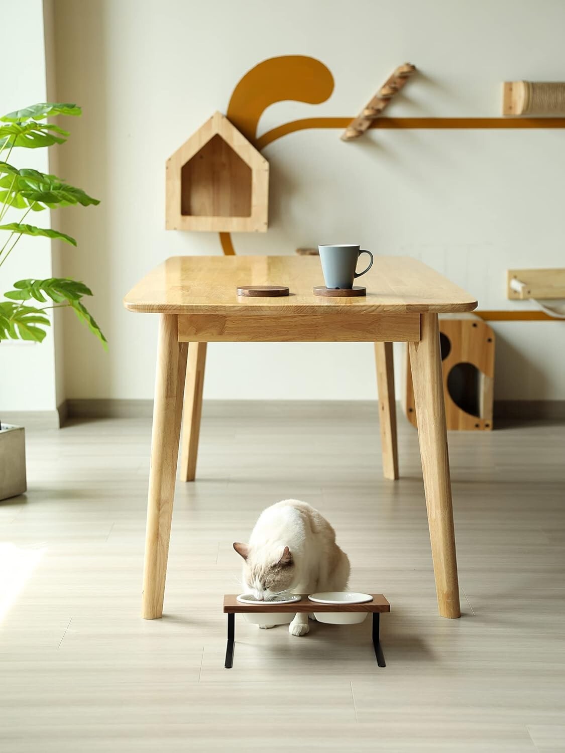 No-Mess Elevated Ceramic Bowls for Cats and Small Dogs - Natural Walnut Stand
