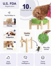Load image into Gallery viewer, Elevated Ceramic Dog Bowls - Non-Slip Clover Green Dishes for Healthy Feeding