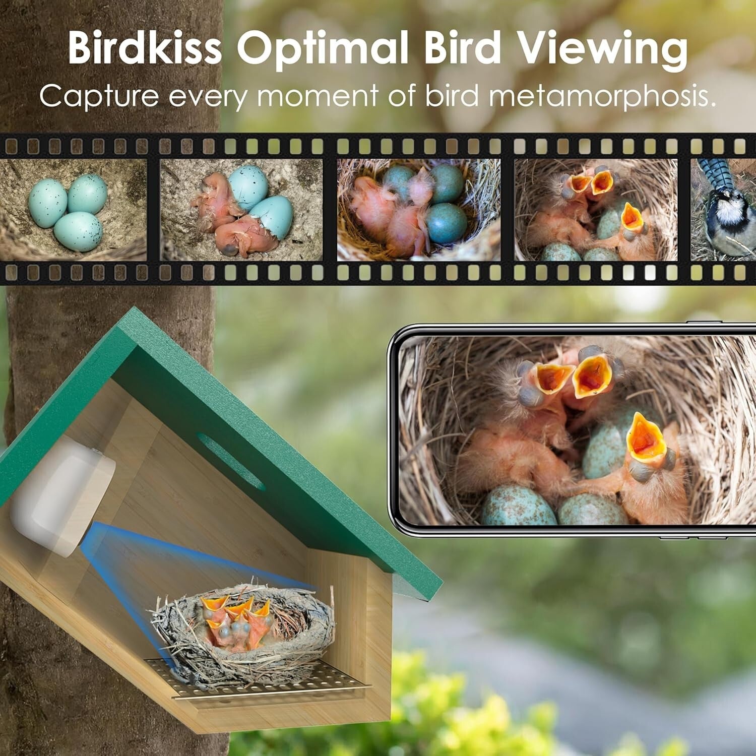 Educational Solar Birdhouse with Auto-Recording Camera for Kids & Nature Lovers