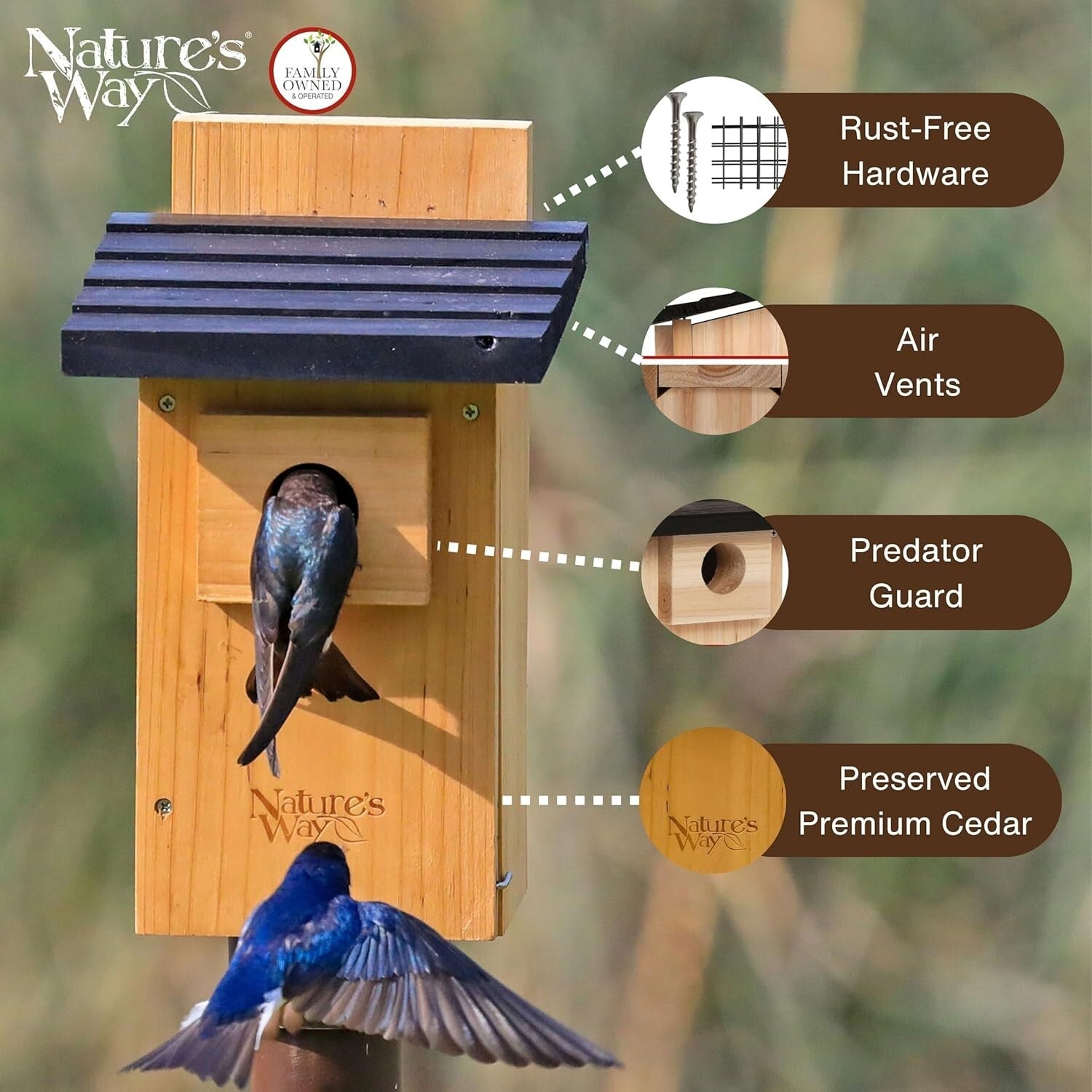 Elegant Cedar Bluebird House with Crack-Resistant Window and Fledgling Support