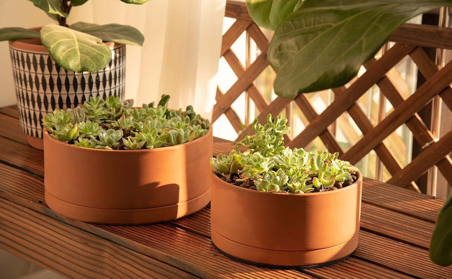 10-Inch Round Succulent Terracotta Pot with Drainage & Saucer – Elegant Choice