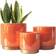 Load image into Gallery viewer, Bohemian Ceramic Flower Planters with Drainage Holes - Indoor/Outdoor Use