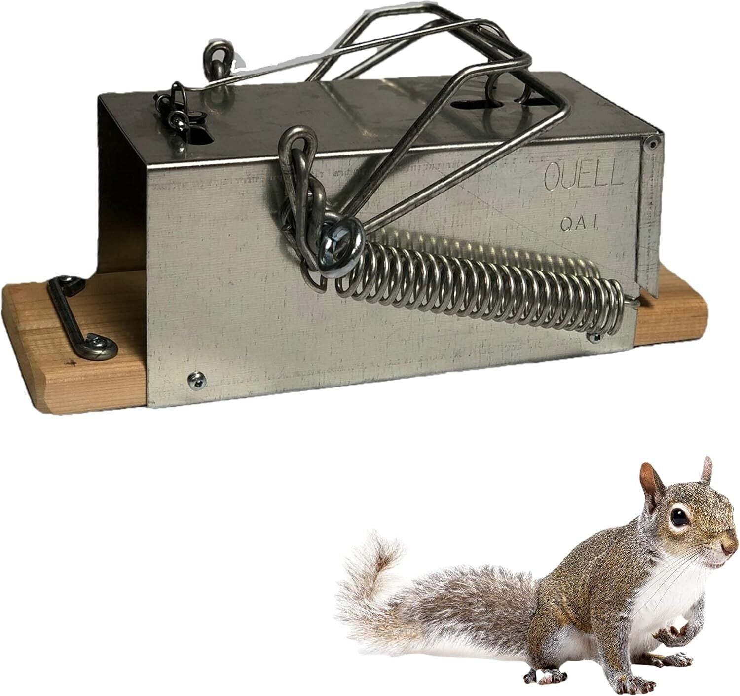 High-Quality Outdoor Squirrel Trap - Large Metal Design for Quick Extermination