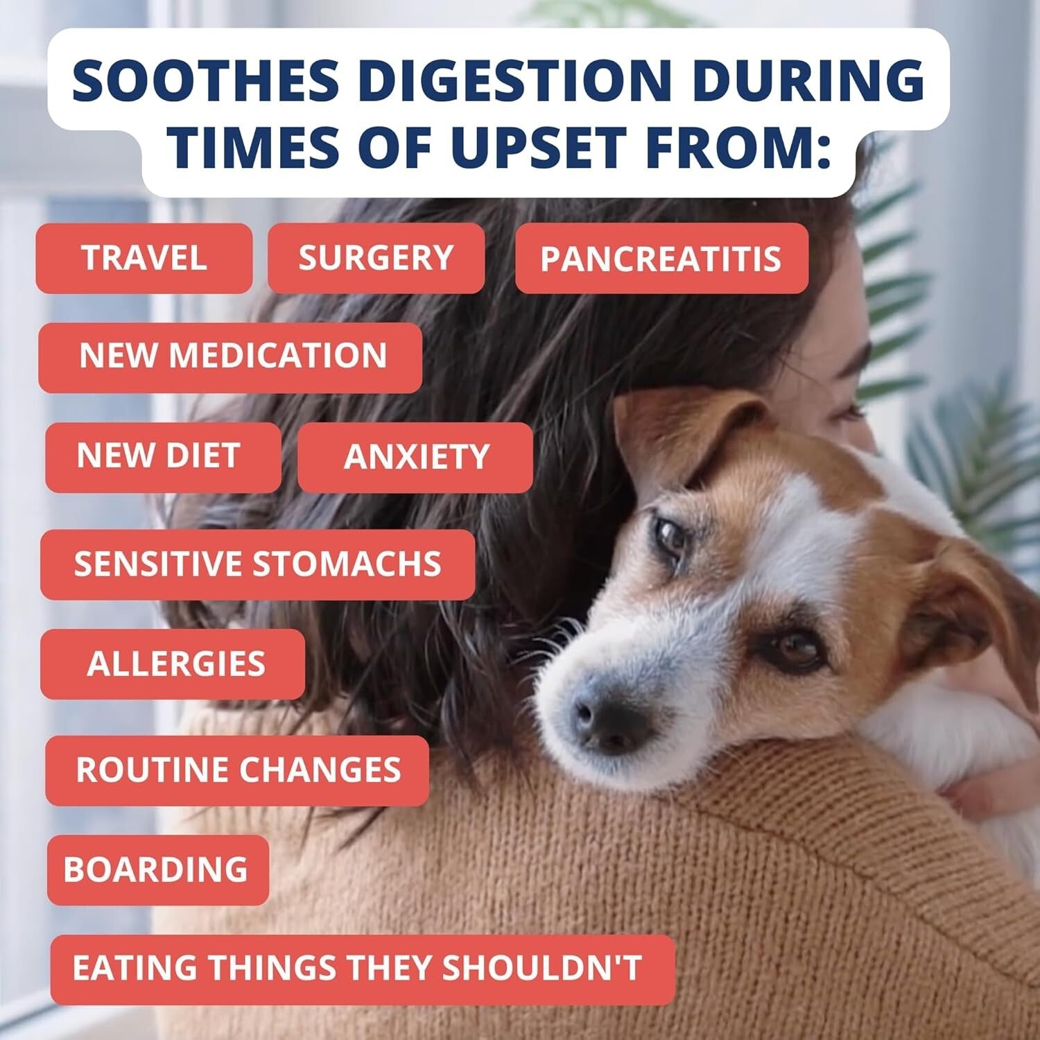 Natural Stomach Support Dog Food | Freeze-Dried Turkey, Sweet Potato, 6 Pack