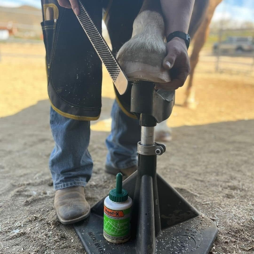 Innovative Blacksmith Horse Hoof Stand - Lightweight & Highly Durable Design