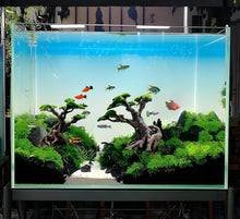 Load image into Gallery viewer, Handmade Bonsai Tree Aquarium Decor with Faux Moss - Stunning Sandstone Design